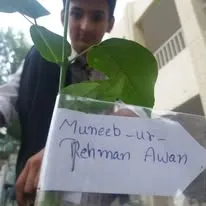 Green Seekers Activity